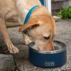 Yeti Boomer 8 Dog Bowl